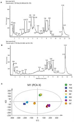 Impacts of Colored Light-Emitting Diode Illumination on the Reproductive Performance and Bioactive Constituents and the Molecular Mechanism of Hypothalamus Gland in Zi-geese